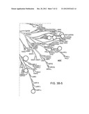 Compositions of Kinase Inhibitors and Their Use for Treatment of Cancer     and Other Diseases Related to Kinases diagram and image