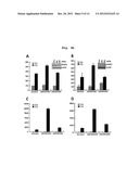 Composition Containing Inhibitors of the Expression or Activity of SH3RF2     for Preventing or Treating Cancer diagram and image