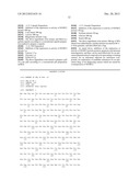 Composition Containing Inhibitors of the Expression or Activity of SH3RF2     for Preventing or Treating Cancer diagram and image