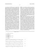 USE OF ISLET GLUCOSE-6-PHOSPHATASE RELATED PROTEIN AS A DIAGNOSTIC TOOL     AND THERAPEUTIC TARGET FOR AUTOIMMUNE DIABETES diagram and image