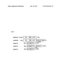 T CELL RECEPTOR-DEFICIENT T CELL COMPOSITIONS diagram and image