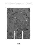 Liposome-Encapsulated Bicelles and Use Thereof in Diluted Systems diagram and image