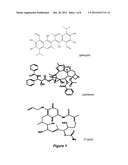 MICELLES FOR THE SOLUBILIZATION OF GOSSYPOL diagram and image