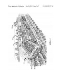 CELERY HARVESTING FOR PRE-WASHED FULL-LENGTH PETIOLES diagram and image