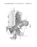 CELERY HARVESTING FOR PRE-WASHED FULL-LENGTH PETIOLES diagram and image