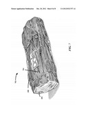 CELERY HARVESTING FOR PRE-WASHED FULL-LENGTH PETIOLES diagram and image