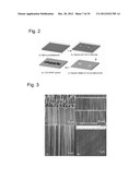 Methods of Making Spatially Aligned Nanotubes and Nanotube Arrays diagram and image