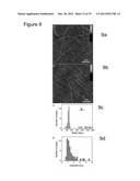 Methods of Making Spatially Aligned Nanotubes and Nanotube Arrays diagram and image