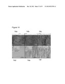 Methods of Making Spatially Aligned Nanotubes and Nanotube Arrays diagram and image