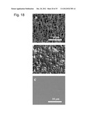 Methods of Making Spatially Aligned Nanotubes and Nanotube Arrays diagram and image