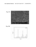 Methods of Making Spatially Aligned Nanotubes and Nanotube Arrays diagram and image