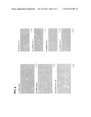 MAGNESIUM ALLOY SHEET diagram and image