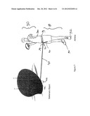 SPORT TRAINING APPARATUS  AND METHOD OF USE diagram and image