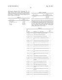 MATERIALS AND METHODS FOR DETECTION OF HPV NUCLEIC ACIDS diagram and image