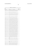 MATERIALS AND METHODS FOR DETECTION OF HPV NUCLEIC ACIDS diagram and image