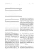 MATERIALS AND METHODS FOR DETECTION OF HPV NUCLEIC ACIDS diagram and image