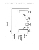 Analysis of nucleic acids diagram and image