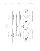 Analysis of nucleic acids diagram and image