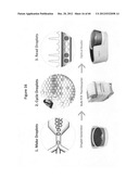 Analysis of nucleic acids diagram and image