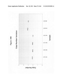 Analysis of nucleic acids diagram and image