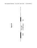 Analysis of nucleic acids diagram and image