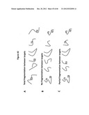 Analysis of nucleic acids diagram and image