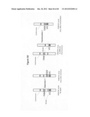 Analysis of nucleic acids diagram and image