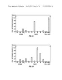 Diagnositic Methods of Tumor Susceptibility With Nucleotide Polymorphisms     Inside MicroRNA Target Sites diagram and image