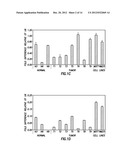 Diagnositic Methods of Tumor Susceptibility With Nucleotide Polymorphisms     Inside MicroRNA Target Sites diagram and image