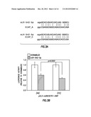 Diagnositic Methods of Tumor Susceptibility With Nucleotide Polymorphisms     Inside MicroRNA Target Sites diagram and image