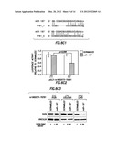 Diagnositic Methods of Tumor Susceptibility With Nucleotide Polymorphisms     Inside MicroRNA Target Sites diagram and image