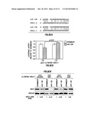 Diagnositic Methods of Tumor Susceptibility With Nucleotide Polymorphisms     Inside MicroRNA Target Sites diagram and image