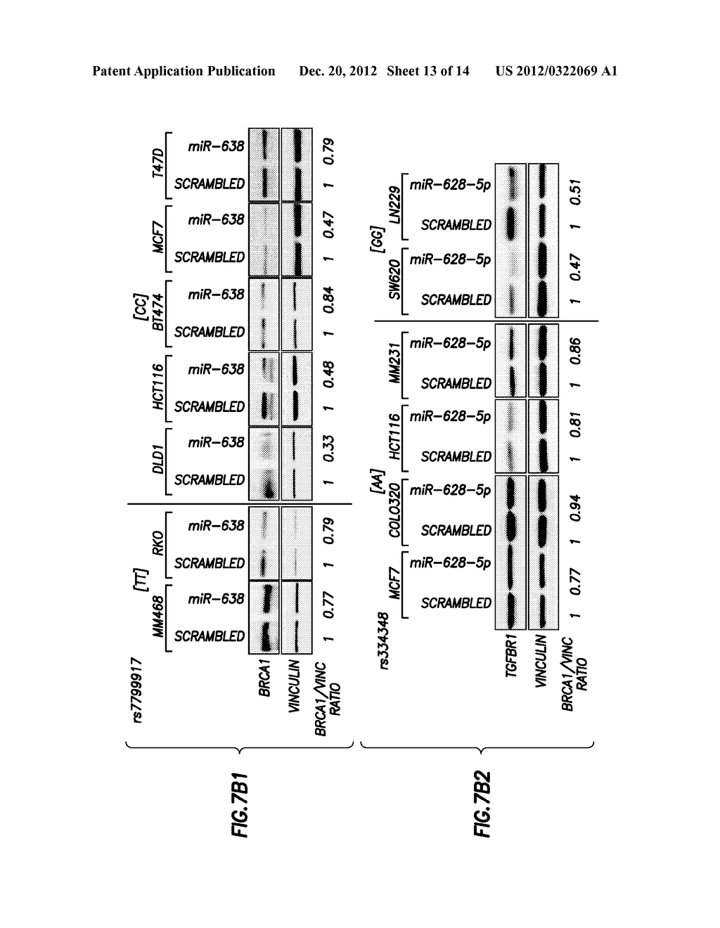 Diagnositic Methods of Tumor Susceptibility With Nucleotide Polymorphisms     Inside MicroRNA Target Sites - diagram, schematic, and image 14