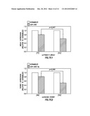 Diagnositic Methods of Tumor Susceptibility With Nucleotide Polymorphisms     Inside MicroRNA Target Sites diagram and image