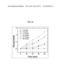 MICROCHAMBER ELECTROCHEMICAL CELL HAVING A NANOSLOT diagram and image