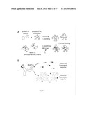 METHODS FOR DETECTION OF BOTULINUM NEUROTOXIN diagram and image