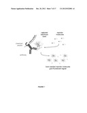 METHODS FOR DETECTION OF BOTULINUM NEUROTOXIN diagram and image