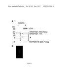 METHODS FOR DETECTION OF BOTULINUM NEUROTOXIN diagram and image