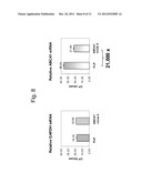 ANTIBODY BINDING TO ABCA1 POLYPEPTIDE diagram and image