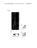 THERAPEUTIC AGENT FOR AUTOIMMUNE DISEASES OR ALLERGY, AND METHOD FOR     SCREENING FOR THE THERAPEUTIC AGENT diagram and image