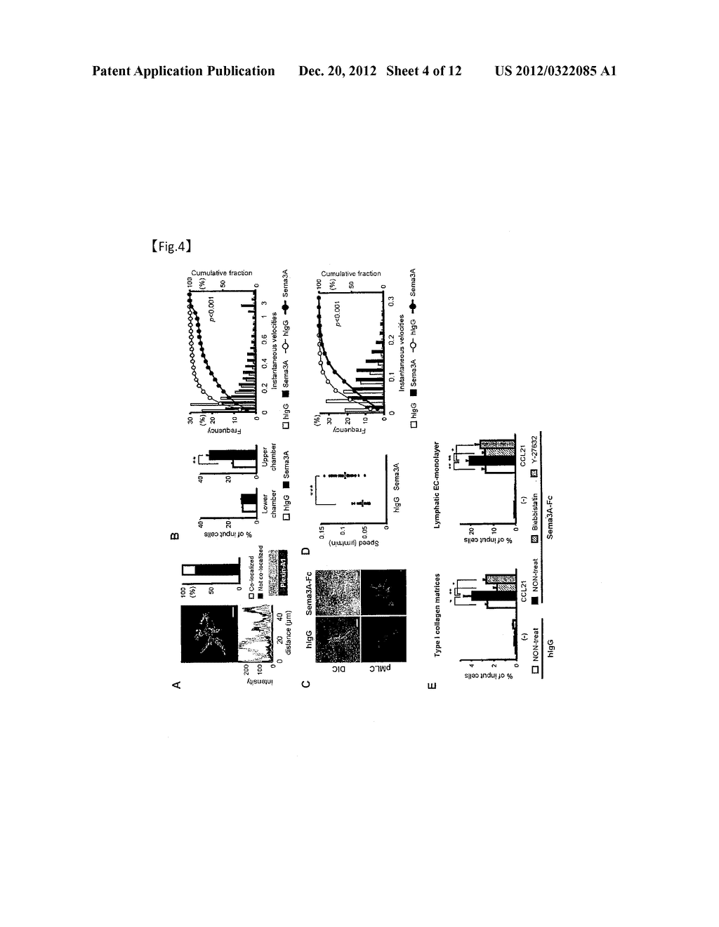 THERAPEUTIC AGENT FOR AUTOIMMUNE DISEASES OR ALLERGY, AND METHOD FOR     SCREENING FOR THE THERAPEUTIC AGENT - diagram, schematic, and image 05