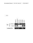 THERAPEUTIC AGENT FOR AUTOIMMUNE DISEASES OR ALLERGY, AND METHOD FOR     SCREENING FOR THE THERAPEUTIC AGENT diagram and image