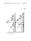 METHOD FOR THE DETERMINATION OF SEQUENCE VARIANTS OF POLYPEPTIDES diagram and image