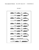 GENETICALLY ENGINEERED HERBICIDE RESISTANT ALGAE diagram and image