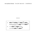 GENETICALLY ENGINEERED HERBICIDE RESISTANT ALGAE diagram and image