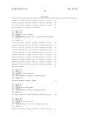 METHOD FOR TRANSFORMING STRAMENOPILES diagram and image