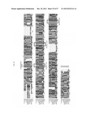 METHOD FOR TRANSFORMING STRAMENOPILES diagram and image