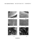 Novel Biodegradable Elastomeric Scaffold for Tissue Engineering and Light     Scattering Fingerprinting Methods for Testing the Same diagram and image