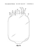 FLUORESCENT pH DETECTOR SYSTEM AND RELATED METHODS diagram and image