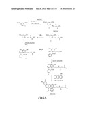 FLUORESCENT pH DETECTOR SYSTEM AND RELATED METHODS diagram and image